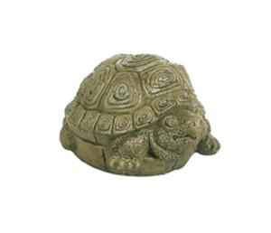 AG Small Turtle