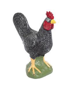 AG Rooster