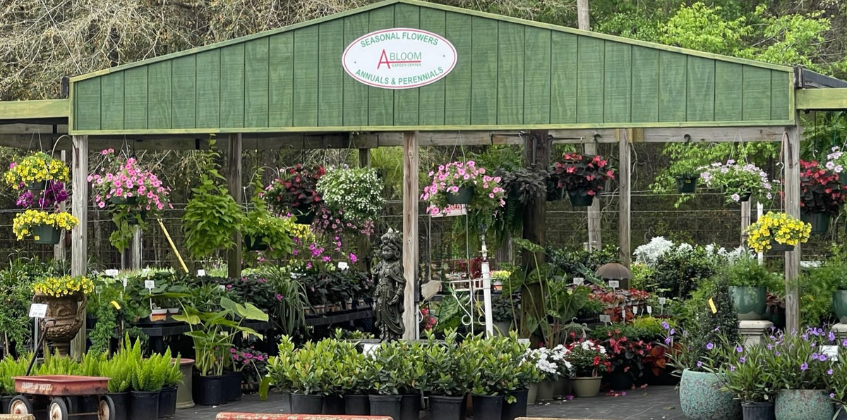 A Bloom Garden Center