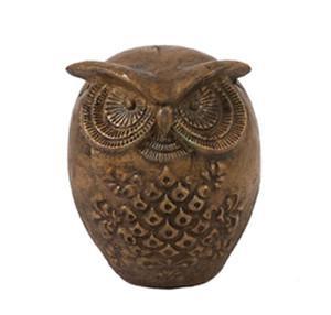 AG Wise Owl